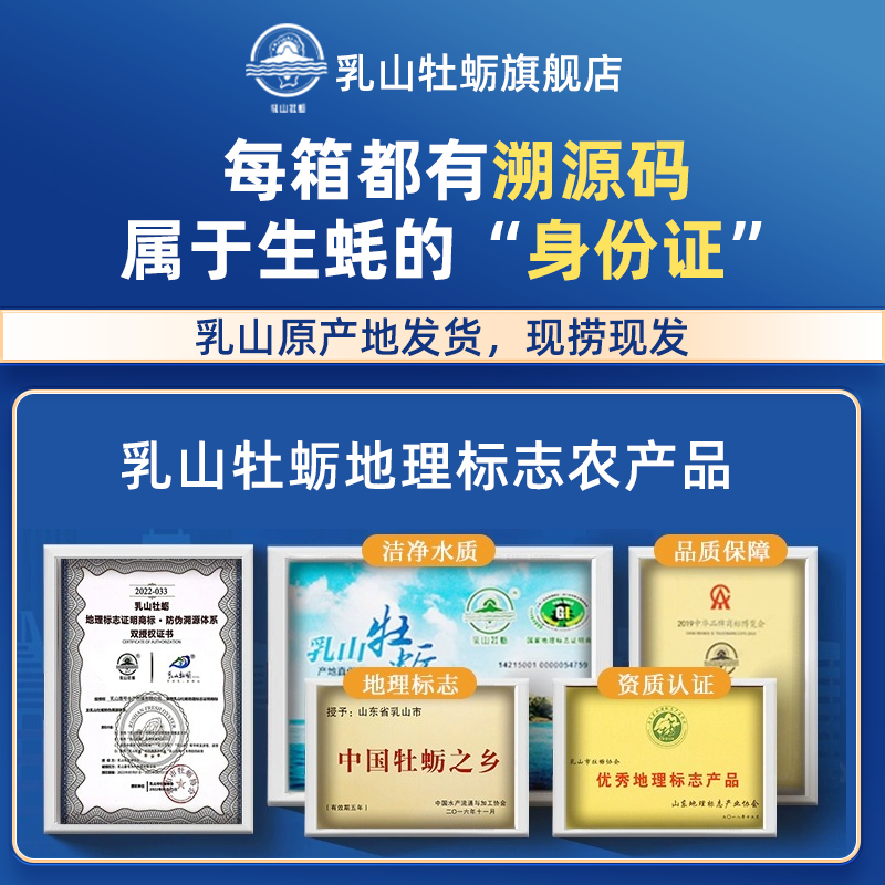 乳山生蚝鲜活乳山牡蛎特大号海鲜海蛎子原产地直发净重5斤装