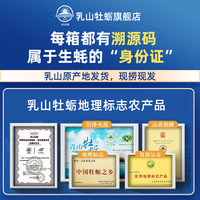 乳山生蚝鲜活乳山牡蛎特大号海鲜海蛎子原产地直发净重5斤装