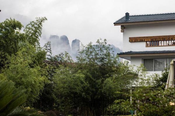 就在武夷山脚下，门票免费还含双餐，周末清明不加价！福建南平武夷山天泽花园别墅酒店 私享庭院大/双床房 2-3晚连住套餐（含双早+双人正餐+欢迎水果+下午茶+棋牌室+接站服务等）