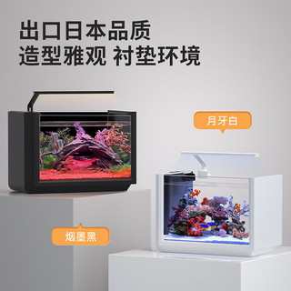 BIOZYM 百因美 鱼缸客厅无忧换水懒人生态水草中小鱼缸办公室桌面小型造景水族箱 生态小鱼缸（白色）+定时多彩灯