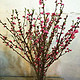 致荟树 红梅腊梅带花苞 80cm *10枝