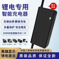 12V锂电池一体机充电器12.6V10A16.8V3A14.6V5A三元铁锂快充通用