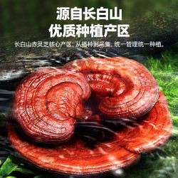 雷允上 热销4000w+】雷允上破壁灵芝孢子粉中秋节礼盒送长辈增强免疫力