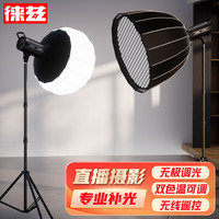 徕兹 lz300W直播补光灯led摄影灯专业灯光设备深抛柔光箱套装室内影棚拍照打光灯美颜视频拍摄常亮灯