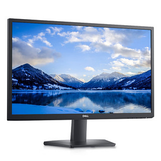 戴尔（DELL）23.8英寸 办公显示器 FHD IPS FreeSync 低蓝光不闪屏 支持壁挂 DVI+VGA 电脑显示屏 SE2422HM