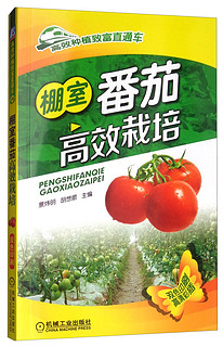 棚室番茄高效栽培