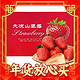 四川高山露天种植红颜99 草莓   5斤