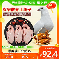 温氏食品 WENS 温氏 乳鸽鸽子900g/3只