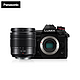 Panasonic 松下 LUMIX G9 M4/3画幅 微单相机 黑色 12-60mm F2.8 ASPH 变焦镜头 单头套机