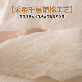 kaseen 开诚 100%天然新疆棉花被芯 春秋被 6斤 200x230cm