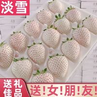 曲迪 淡雪草莓   一盒15颗 250g礼盒装