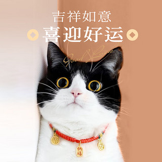 Huan Chong 欢宠网 猫项圈猫咪狗狗铃铛狗脖圈颈圈项链小狗小型犬猫猫小猫幼猫宠物圈