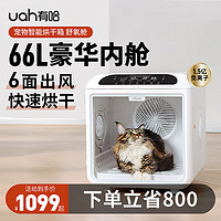 有哈 uah）寵物烘干箱貓咪烘干機狗狗自動吹水機器家用洗澡快速烘干更安靜