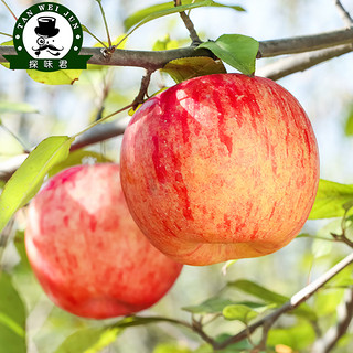 新疆阿克苏冰糖心苹果10斤新鲜水果应当季红富士即食平果