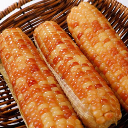 鲜蜂队云南西双版纳花糯玉米香糯小玉米2斤