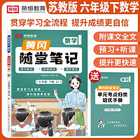 套装2册 随堂笔记+单元考点归类培优手册6年级数学苏教版下册