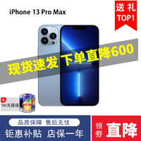 Apple iPhone 13 Pro Max 高刷 远峰蓝 128GB 5G手机