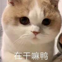 今日好价图书来咯！一起来看一看吧~