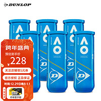 DUNLOP 邓禄普 网球 澳网网球AO比赛用球罐装初学进阶专业高弹耐打练习