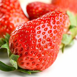 abdo大凉山高山露天种植草莓现摘现发 农家草莓产地直发新鲜直达 严品红颜草莓 单果（10-15g） 彩箱装  净重（4.5-5斤）