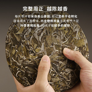 熙溪 福鼎白茶 2018年原料白牡丹茶饼300g 老白茶茶叶