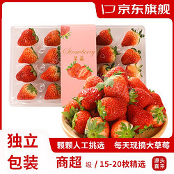 卉双 江苏丹东99红颜奶油大草莓