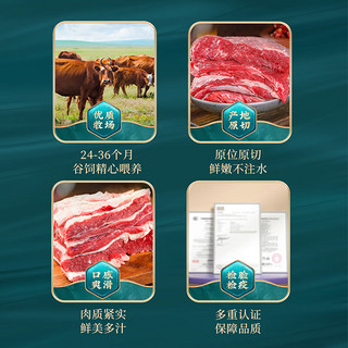 目无全牛 内蒙古牛腩肉2000g 火锅烤肉烧烤家常菜食材 生鲜冷冻牛肉