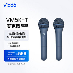 Vidda 海信 麦克风 VM5K-T 海信电视 Vidda电视定制麦克风 天籁K歌 无线麦克风 家庭KTV 双支套装