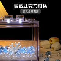 泰国斗鱼高透鱼缸亚克力创意客厅家用桌面小型积木盒造景全套