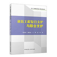 基坑工程复合支护与联合支护/岩土工程新技术及工程应用丛书