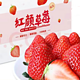 风之郁 红颜99奶油大草莓 5斤彩盒装单果15-20g