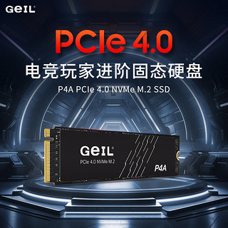 GeIL金邦 P4L固态硬盘PICE4.0台式机SSD笔记本电脑M.2(NVMe协议)高速ps5主机 P4A 4T 5000MB/S