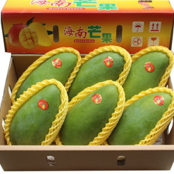 海姑娘 带箱10斤海南三亚大青芒果 青皮芒果  当季新鲜特大水果整箱芒果