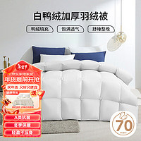 源生活 A类抗菌70%白鸭绒羽绒被子 加厚冬被 填充1600克 220*240cm