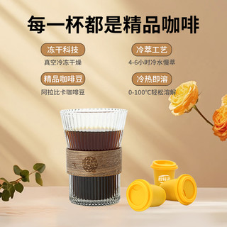 COFFEE CHANNEL 醇频道 冷萃美式黑咖啡粉三口味