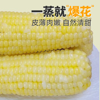 新鲜有机甜糯玉米棒黏粘糯米玉米真空包装营养早餐食品非转基180g