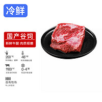 HONDO 恒都 国产冰鲜黄牛牛腿肉500g 冷藏 谷饲牛肉 炖煮食材