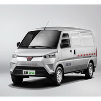 柳州五菱汽车工业有限公司 五菱EV50