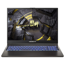 Hasee 神舟 战神T8 16英寸游戏本（酷睿i9-14900HX、RTX 4060 8G、32GB、1TB SSD、2.5K、IPS、240Hz、CNP6S15）