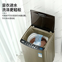 CHIGO 志高 XQB65-818A 家用全自动洗衣机  6.5公斤