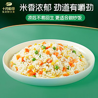 SHI YUE DAO TIAN 十月稻田 东北长粒香大米5kg黑龙江大米粳米10斤装