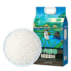 SHI YUE DAO TIAN 十月稻田 东北长粒香大米5kg黑龙江大米粳米10斤装