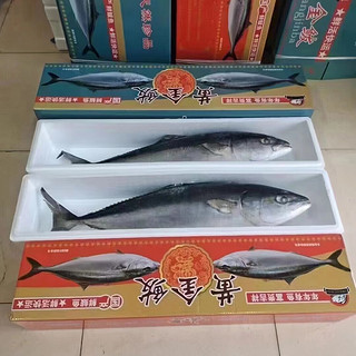 星品膳黄金大鲅鱼整条冷冻鲜活海鱼整箱马鲛鱼馅海鲜 精品黄金大鲅鱼 一整条 礼盒装 8-10斤