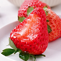 丹东99草莓新鲜采摘头茬大果甜草莓水果新鲜草莓当季