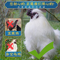DOYOO 大用 白凤乌鸡1kg 十全乌骨鸡 农家土鸡 冷冻月子鸡炖汤食材 200天左右