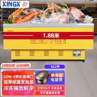 星星(XINGX)562升冷冻玻璃门卧式展示冷柜 商用大容量岛柜 冻货火锅食材海鲜丸子速冻雪柜SD-562BP