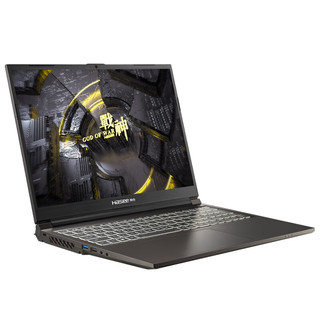 Hasee 神舟 战神T8 十四代酷睿版 16英寸 游戏本 黑色（酷睿i9-14900HX、RTX 4060 8G、32GB、1TB SSD、2.5K、IPS、240Hz、CNP6S15）