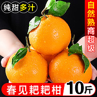 正宗四川春见耙耙柑10橘子斤丑新鲜时令水果柑橘粑粑柑当季杷杷柑