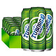 TUBORG 乐堡 啤酒TUBORG 拉环麦芽淡味型聚会清爽啤酒 500ml*12罐