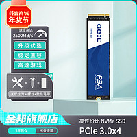 金邦P3A  1TB 2500M/s(NVME协议)Pcie3.0高速M.2固态硬盘